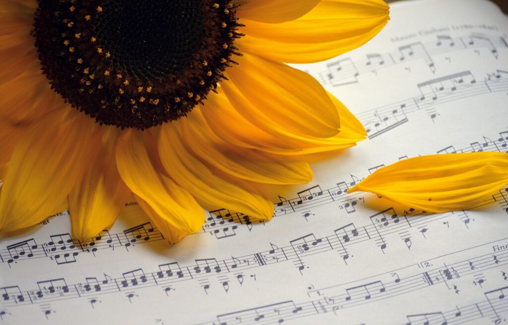 快眠に効果的なASMR音楽はどれですか？