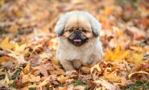 早寝早起きの方法で生活リズムを整えるには？