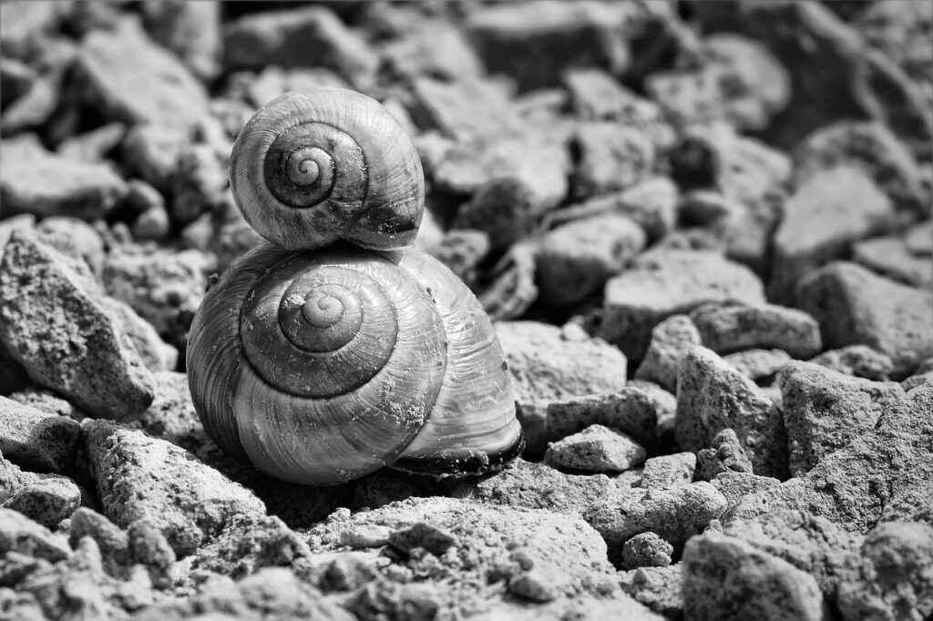 そば殻枕の効果はいつから実感できるの？