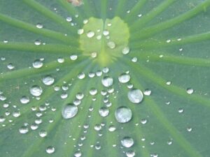 低反発枕の効果はいつから実感できるのか？