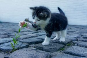 足元の冷え対策に最適なグッズは？