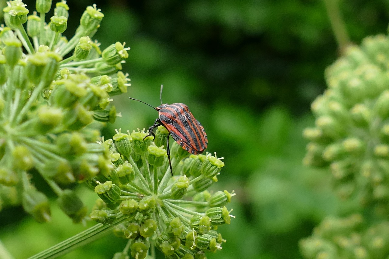 パジャマレディースのおすすめランキングはどれ？