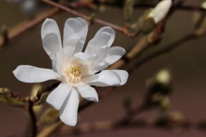 夏用掛け布団の選び方でおすすめのアイテムは？