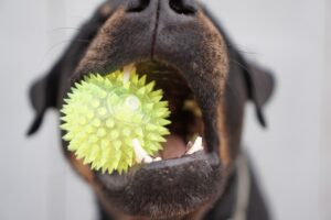 快眠グッズの口コミで本当に効果的なアイテムは？