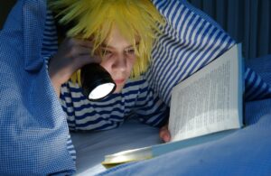 羽毛布団のおすすめランキングはどれ？