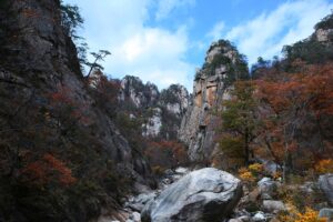 加温座布団の効果はいつから実感できるのか？