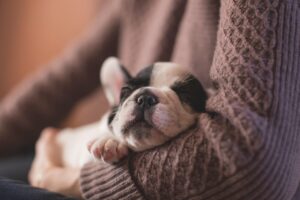 睡眠アプリのおすすめの使い方は？