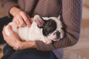 睡眠計の効果はいつから実感できるの？